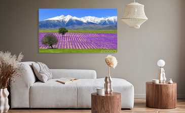 Visualisation du produit