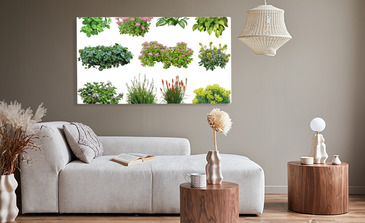 Visualisation du produit