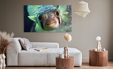 Visualisation du produit