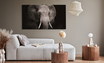 Visualisation du produit