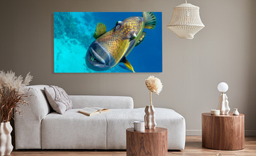 Visualisation du produit