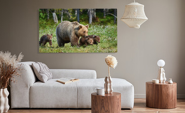 Visualisation du produit