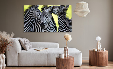 Visualisation du produit