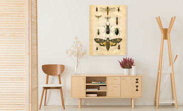 Visualisation du produit