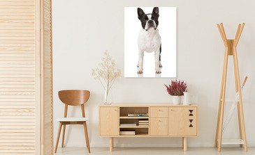 Visualisation du produit