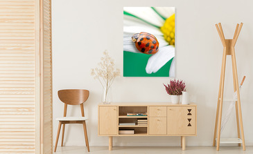 Visualisation du produit