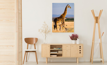 Visualisation du produit