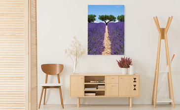 Visualisation du produit