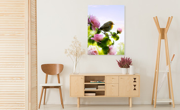 Visualisation du produit