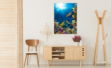 Visualisation du produit