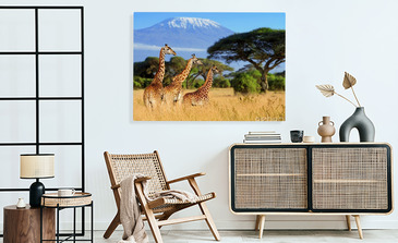 Visualisation du produit