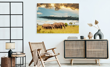 Visualisation du produit