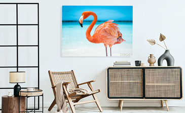 Visualisation du produit