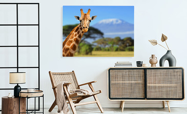 Visualisation du produit