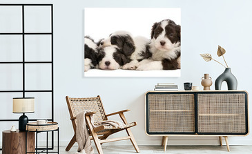 Visualisation du produit