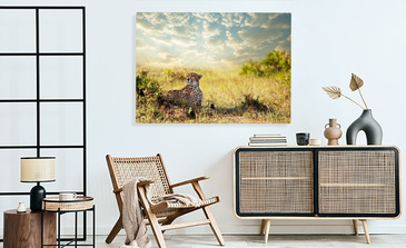 Visualisation du produit