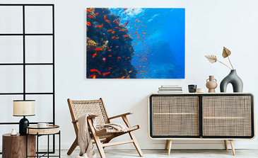 Visualisation du produit