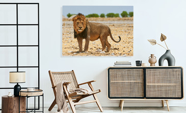 Visualisation du produit