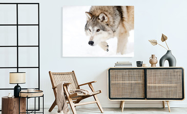 Visualisation du produit