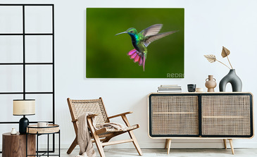 Visualisation du produit