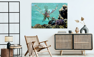 Visualisation du produit