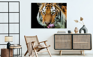 Visualisation du produit