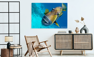 Visualisation du produit