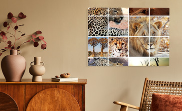 Visualisation du produit