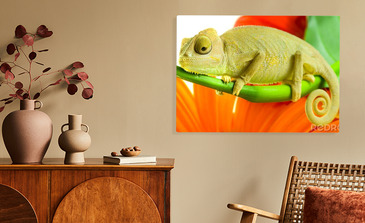 Visualisation du produit