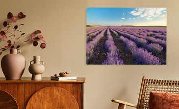 Visualisation du produit