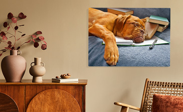 Visualisation du produit