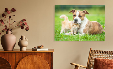 Visualisation du produit