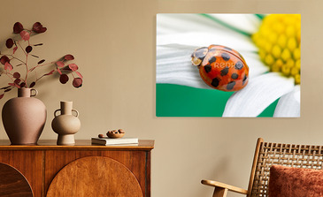 Visualisation du produit