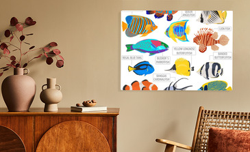 Visualisation du produit