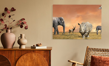 Visualisation du produit