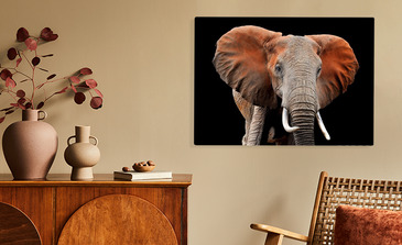 Visualisation du produit