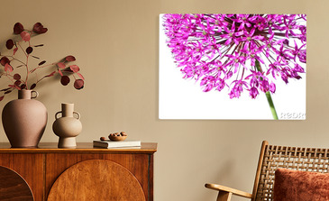 Visualisation du produit