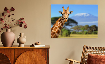 Visualisation du produit