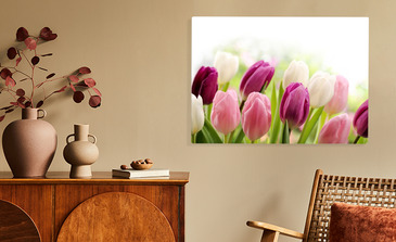 Visualisation du produit