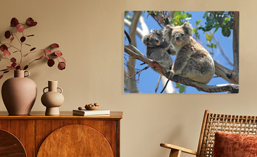 Visualisation du produit