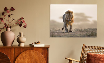 Visualisation du produit