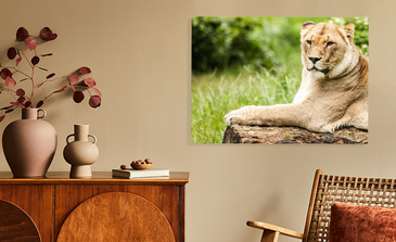 Visualisation du produit