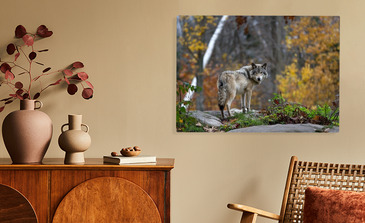 Visualisation du produit