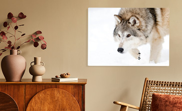 Visualisation du produit