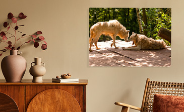 Visualisation du produit