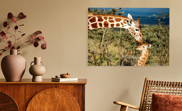 Visualisation du produit