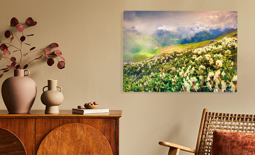 Visualisation du produit