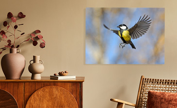 Visualisation du produit