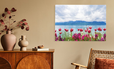 Visualisation du produit