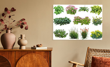 Visualisation du produit